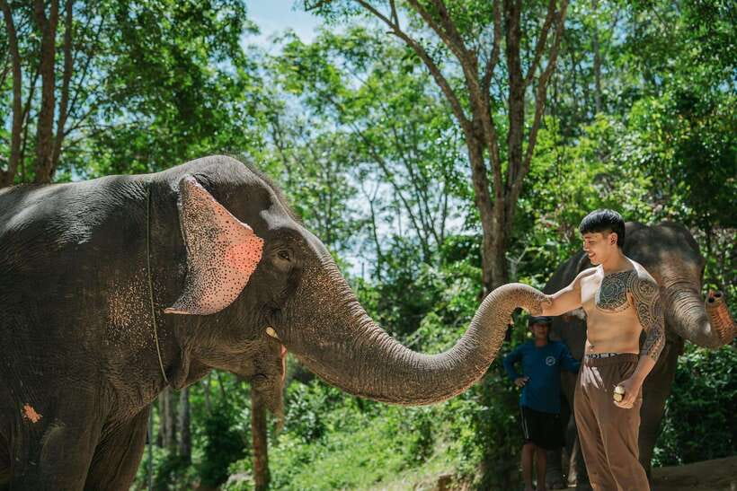Phuket: Feeding Elephants at Phuket Elephant Care - Paint your own magnetic elephant, plus a keychain souvenir