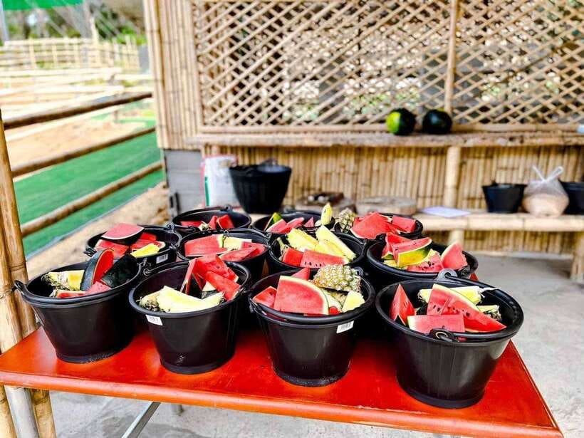 Phuket: Feeding Elephants at Phuket Elephant Care - Included extras that make the day easier