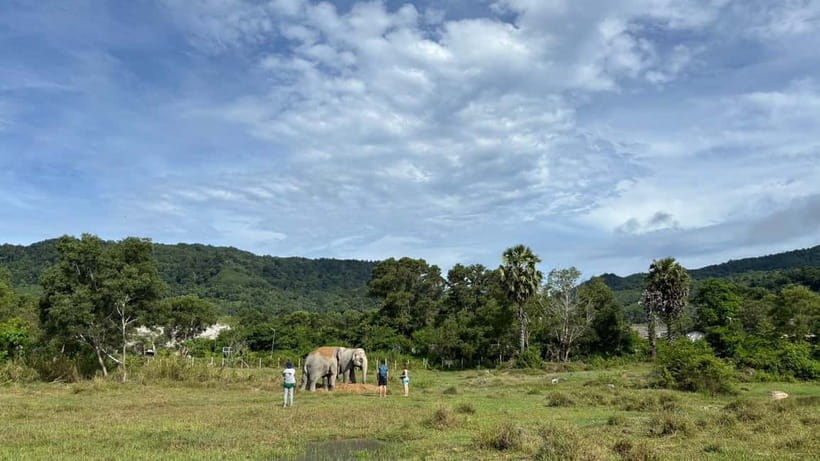 Phuket: Freedom Elephant Reserve - Ethereal Nature Walk - How ethical this reserve feels in practice