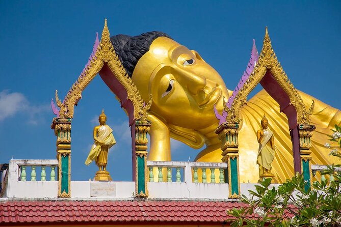 Phuket Giant Water Lilies & Temple Tour - Private & All-Inclusive - How the private transport keeps your day calm in Phuket traffic