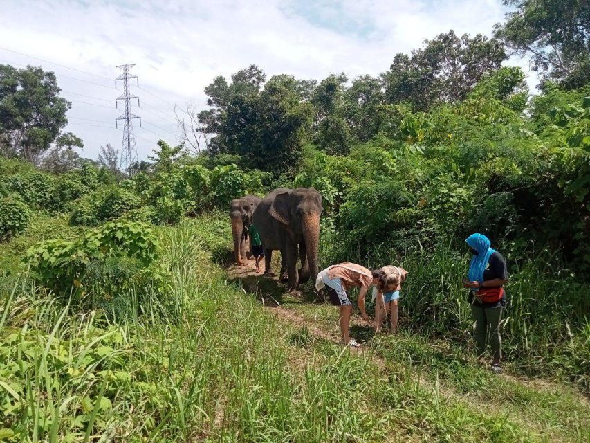 Phuket: Guide Tour to Patong Elephant Sanctuary - Guide Energy, Photos, and How the Interaction Usually Feels