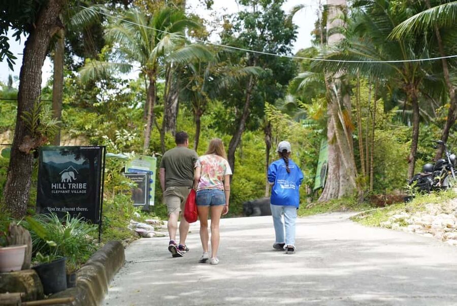 Phuket: Guide Tour to Patong Elephant Sanctuary - Practical Tips: What You Need to Bring (and What to Skip)