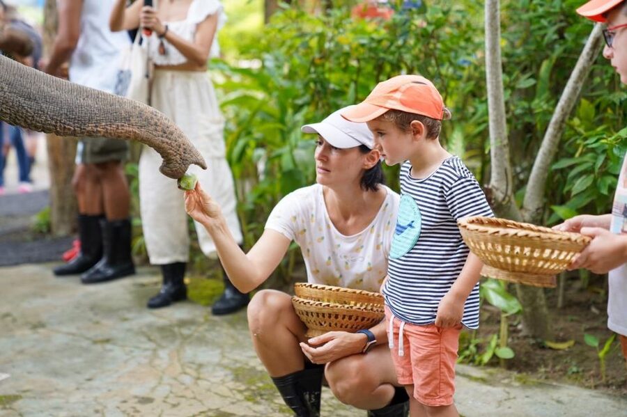 Phuket: Guided Tour to Elephant Sanctuary & Hotel Transfer - Walking, Roaming, and Watching Behavior the Right Way