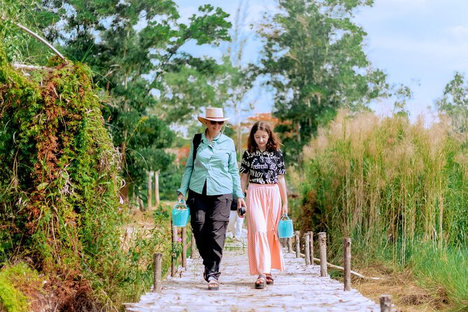 Phuket Guided Tour to Elephant Sanctuary with Hotel Transfers - Why this Phuket elephant visit feels different