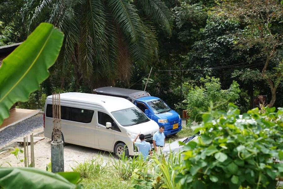 Phuket : Guided Tour to Elephant Sanctuary with Transfers - A calm, hands-on elephant walk with Phuket transfers
