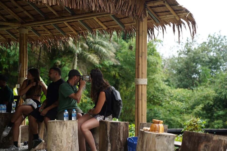 Phuket : Guided Tour to Elephant Sanctuary with Transfers - Feeding prep: banana tree cutting and grass harvesting