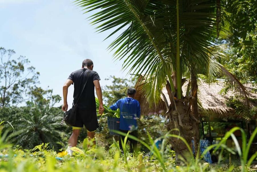 Phuket : Guided Tour to Elephant Sanctuary with Transfers - Price and value: is $45 a good deal?