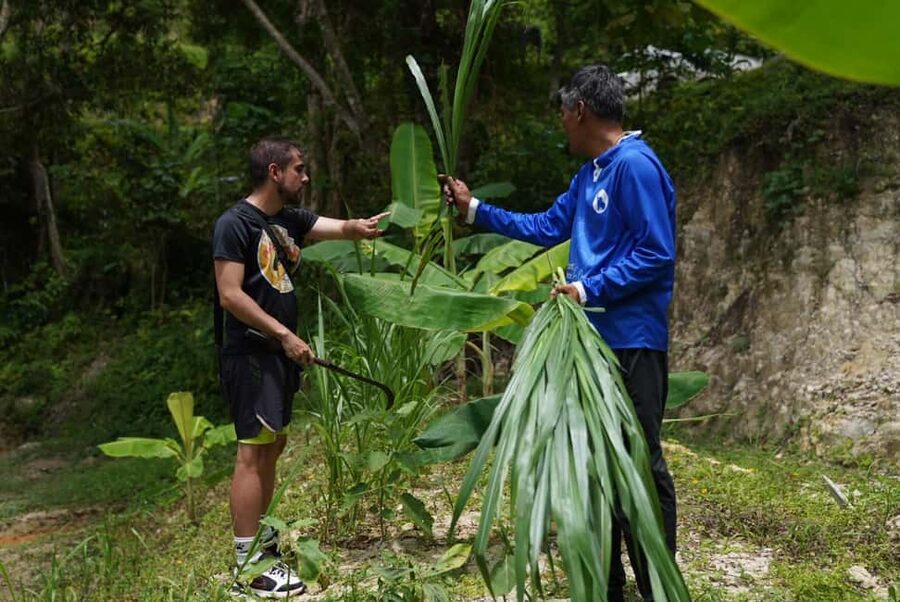 Phuket : Guided Tour to Elephant Sanctuary with Transfers - Who should book this sanctuary tour, and who should skip it