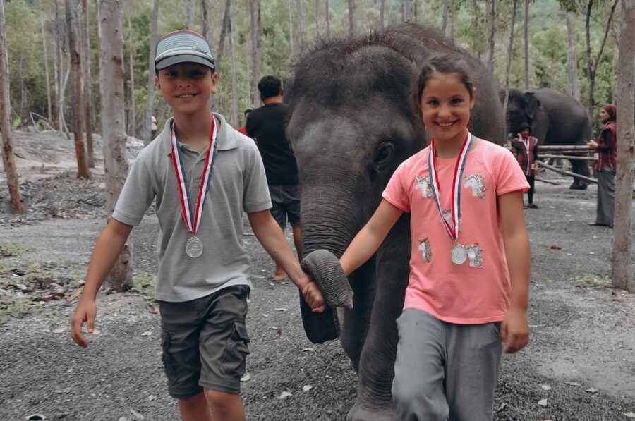 Phuket: Half Day or 2-Hour Ethical Elephant Care Sanctuary - Nai Dee Elephant Care Park: ethical elephant care in real life