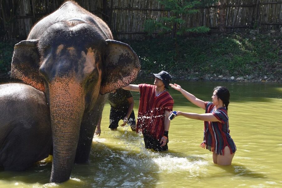 Phuket: Half Day or 2-Hour Ethical Elephant Care Sanctuary - Feeding the elephants: respectful interaction and safety basics