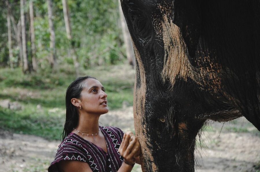 Phuket: Half Day or 2-Hour Ethical Elephant Care Sanctuary - Thai cooking class and lunch: where the value really shows