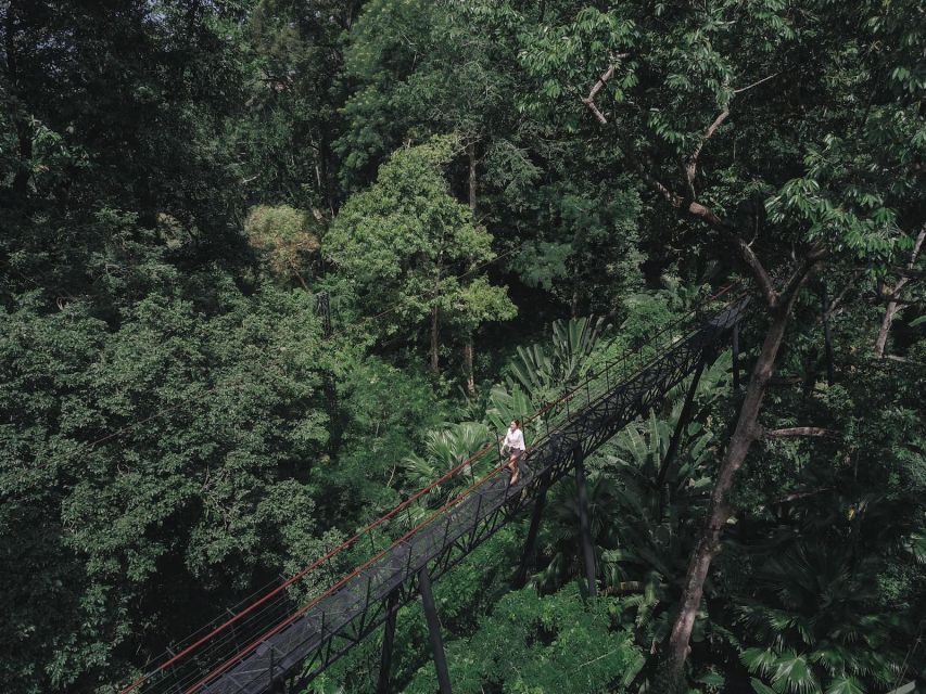 Phuket: Hanuman World Zip Line Adventure - Why Hanuman World Works So Well in Phuket