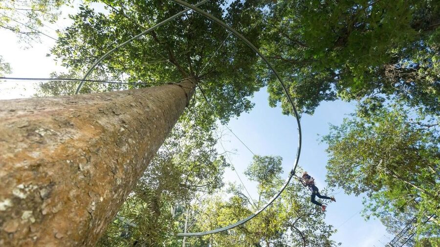 Phuket: Hanuman World Zip Line Adventure - Timing: How 150 Minutes to 3 Hours Feels in Real Life
