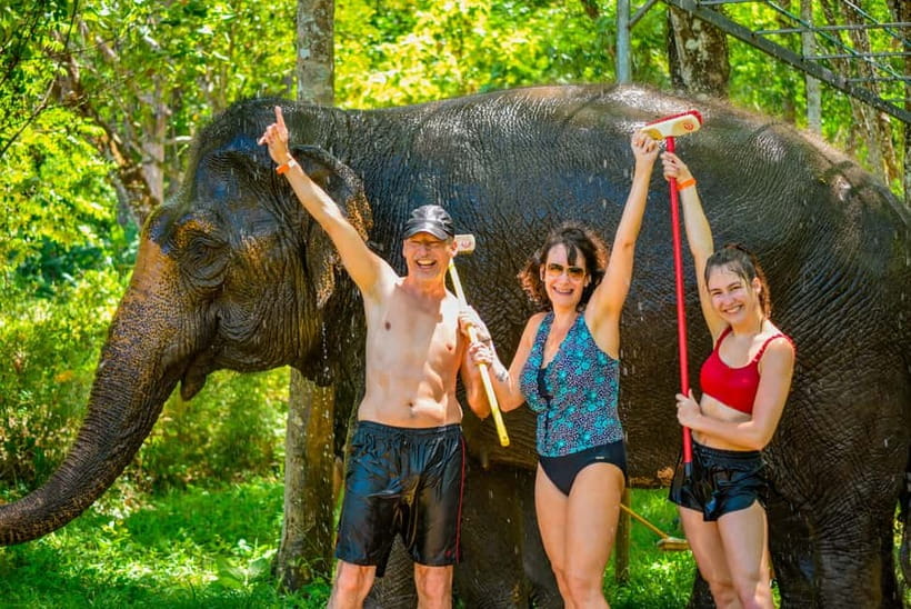 Phuket: Happy Hour Feed and Rain Shower with Elephant - What the 2:30 pm Happy Hour Looks Like at Lily Elephant Camp