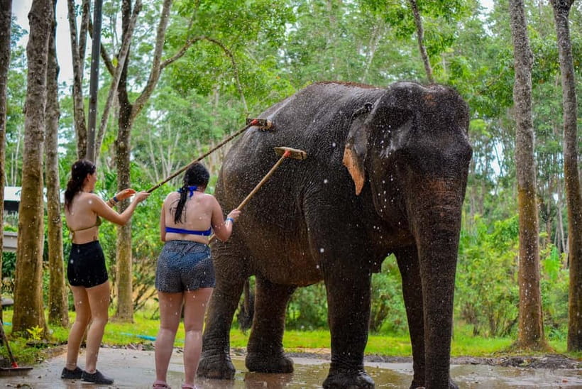 Phuket: Happy Hour Feed and Rain Shower with Elephant - Rain Shower Time: Why a Towel and Swimsuit Make Sense