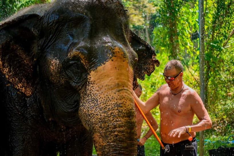 Phuket: Happy Hour Feed and Rain Shower with Elephant - What’s Included at This Elephant Happy Hour (And Why It Matters)
