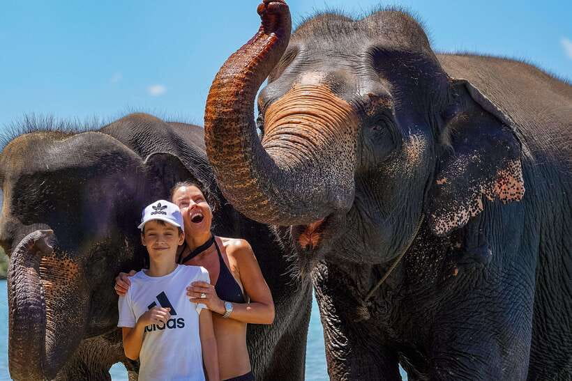 Phuket: Happy Hour Feed and Rain Shower with Elephant - Where You Meet: Finding Lily Elephant Camp Phuket Fast