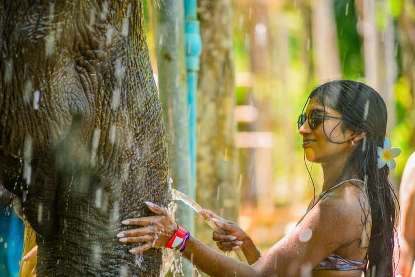 Phuket: Happy Hour Feed and Rain Shower with Elephant - Elephant Feeding Without Riding: What You’re Really Paying For