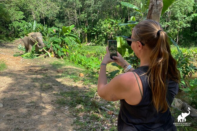 Phuket: Hidden Forest Elephant Reserve Guided Tour with Lunch - Why Hidden Forest Elephants Feels Different in Phuket