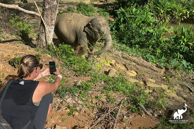 Phuket: Hidden Forest Elephant Reserve Guided Tour with Lunch - Elephant Feeding Without Touching: How It Works