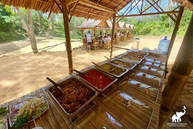Phuket: Hidden Forest Elephant Reserve Guided Tour with Lunch - What Makes It Ethical, and What You Should Know Up Front