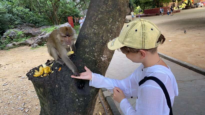 Phuket: James Bond Island by Longtail Boat Small Group Tour - Price and Value: Why $73 Can Be a Good Deal Here