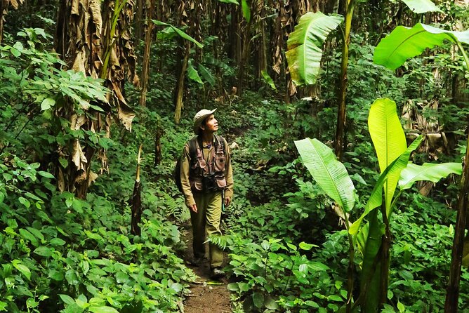 Phuket Jungle Trekking Experience at Khao Phra Taew National Park - Key things I think you’ll care about