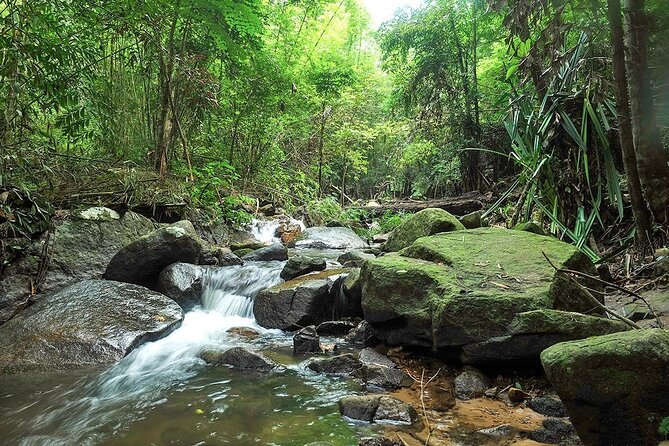 Phuket Jungle Trekking Experience at Khao Phra Taew National Park - Price and Logistics: Getting Your Money’s Worth