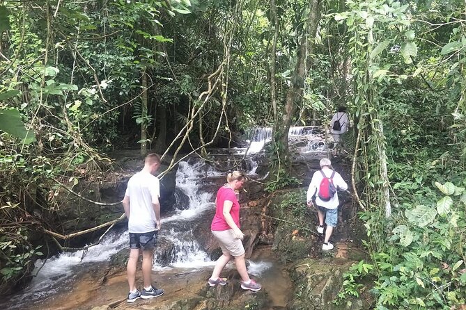 Phuket Jungle Trekking Experience at Khao Phra Taew National Park - The Jungle Trail With a Licensed Guide: The Part You Should Not Skip