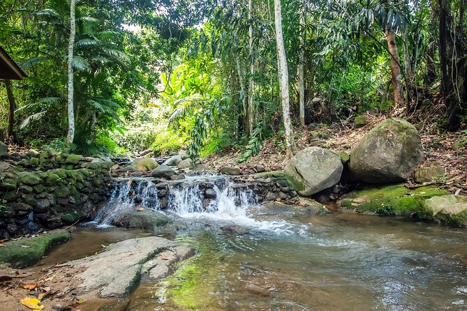 Phuket Jungle Trekking Experience at Khao Phra Taew National Park - Wildlife Watching That Feels Practical, Not Magical