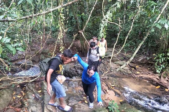 Phuket Jungle Trekking Experience at Khao Phra Taew National Park - Climbing Higher: Giant Palms and the “Lost World” Feeling