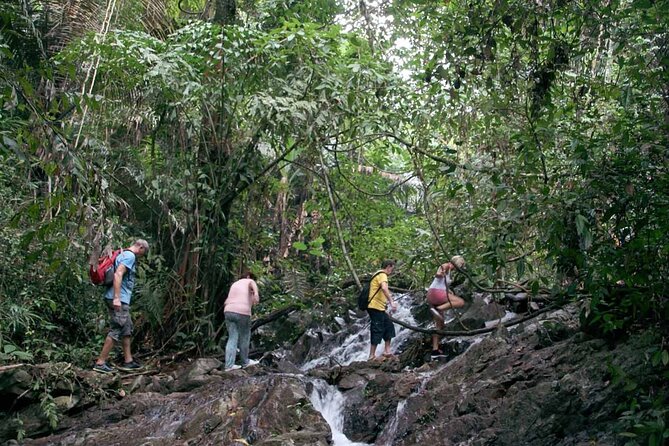 Phuket Jungle Trekking Experience at Khao Phra Taew National Park - How Hard Is It, Really? Fitness, Heat, and Footing