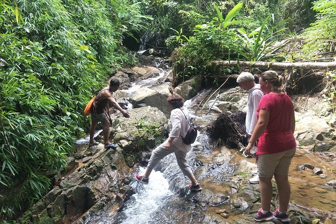 Phuket Jungle Trekking Experience at Khao Phra Taew National Park - 7:30 am Start and Transfers: How the Day Actually Gets Going