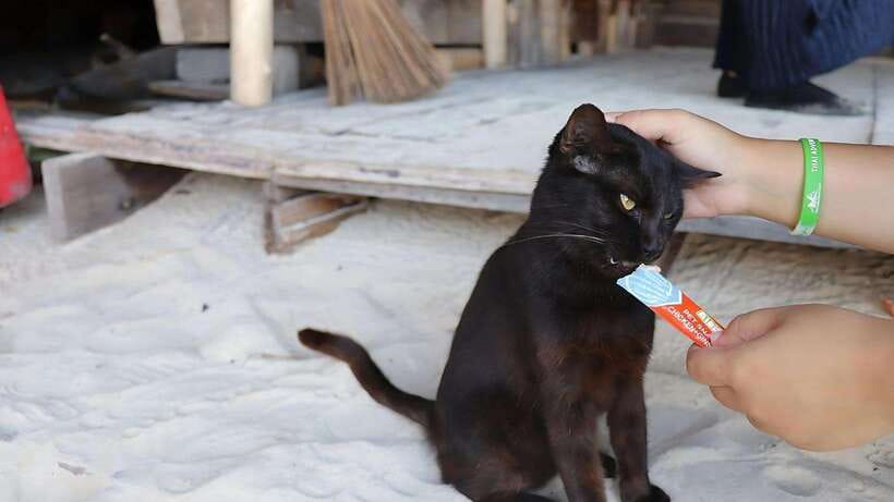 Phuket: Khai Nok, Khai Nai, and Khai Nui Island Day Trip - Khai Nok time: white sand and easy swimming breaks