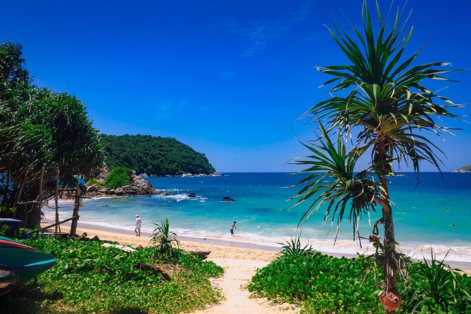 Phuket Lookouts Tour with Lunch at Organic Farm - Getting Your Body Ready: Moderate Fitness, Real Walking