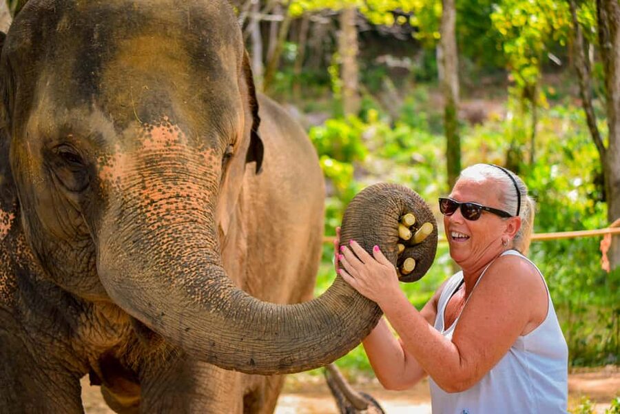 Phuket: Make & Meet The Gentle Giant Experience - Elephant vitamin balls: why this Phuket experience feels more meaningful