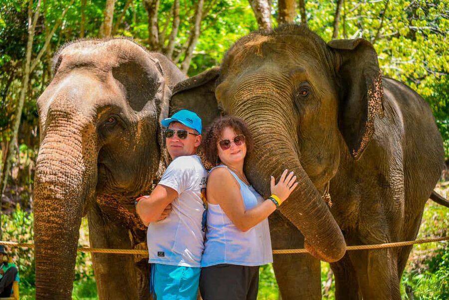 Phuket: Make & Meet The Gentle Giant Experience - Wildlife viewing for about 2.5 hours, with a calm focus