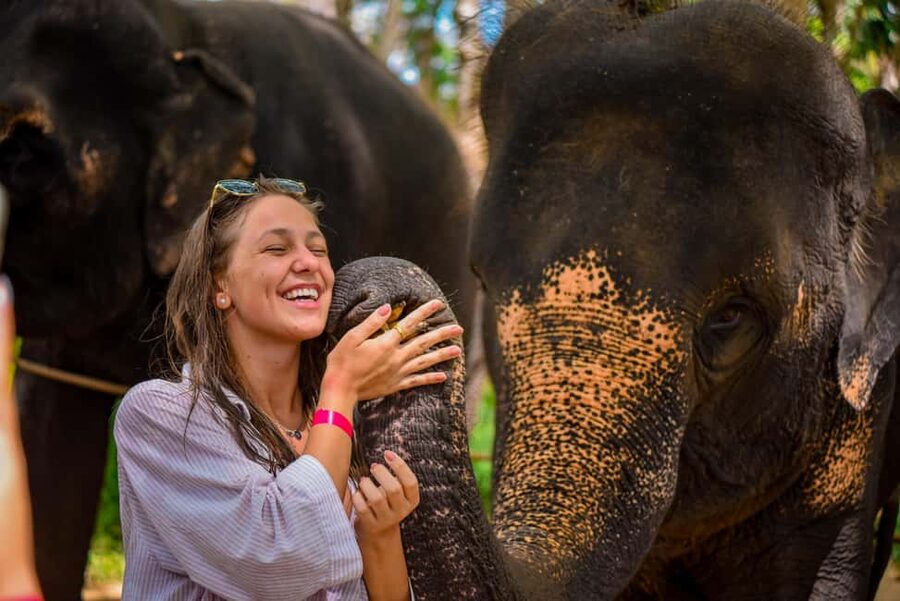 Phuket: Make & Meet The Gentle Giant Experience - Making elephant vitamin balls: hands-on mixing with real ingredients