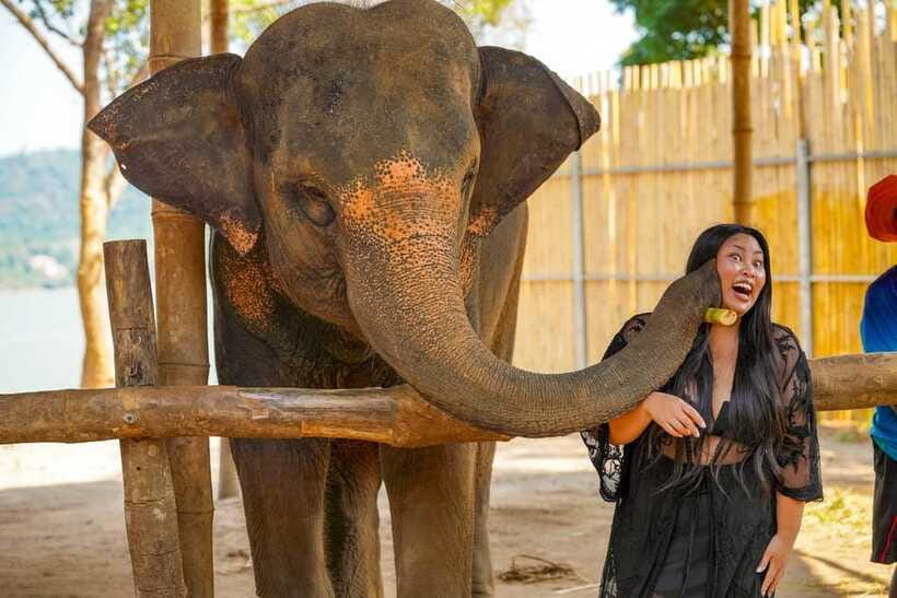 Phuket: Make & Meet The Gentle Giant Experience - Included comforts, plus a no-drama packing list for Phuket sun