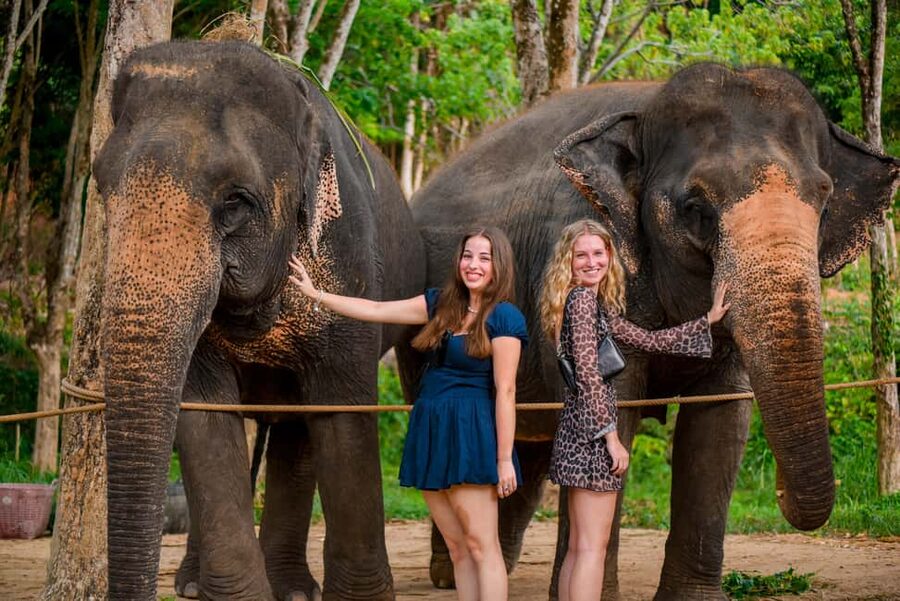Phuket: Make & Meet The Gentle Giant Experience - Getting to Lily Elephant Camp, then settling into the schedule