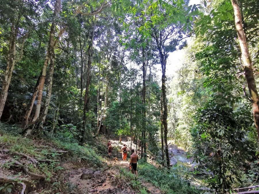 Phuket: Monkey Cave, Water Rafting, Zipline with ATV Option - Lunch at the camp: a real breather, with fruit and drinks