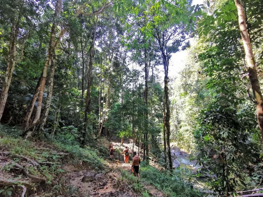 Phuket: Monkey Cave, Water Rafting, Zipline with ATV Option - What to bring so the day feels fun, not annoying