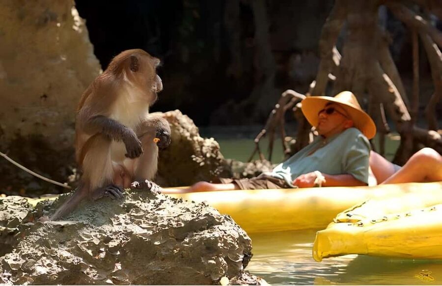 Phuket: Phang Nga,Hong & James Bond Islands by Big Boat - Pickup, transfers, and how the 8 hours really flow