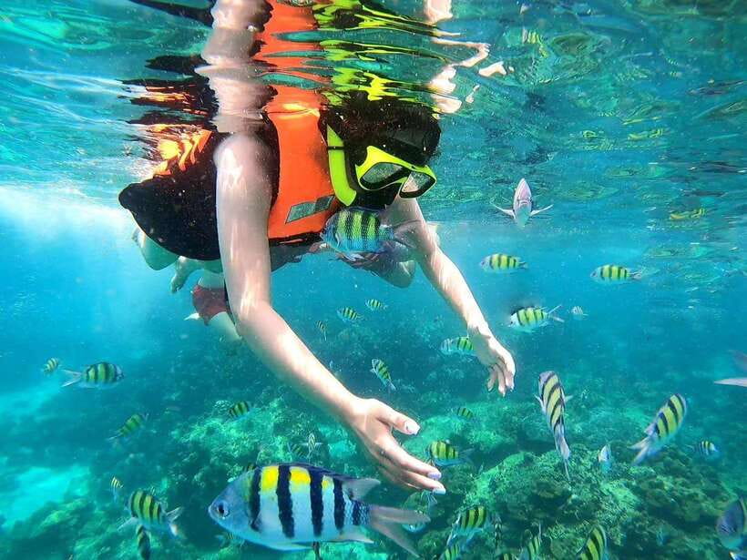 Phuket: Phi Phi Islands and Maya Bay Day Trip with Lunch - Who This Tour Suits Best, and Who Should Skip It