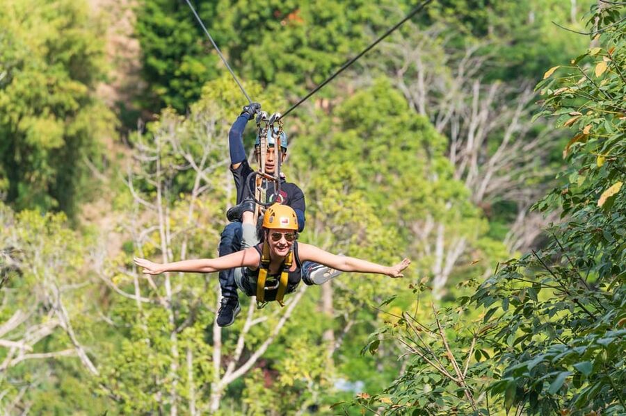 Phuket: Rainforest Eco Zipline Expedition - What you’ll actually see: rainforest wildlife, canopy layers, and big Phuket views