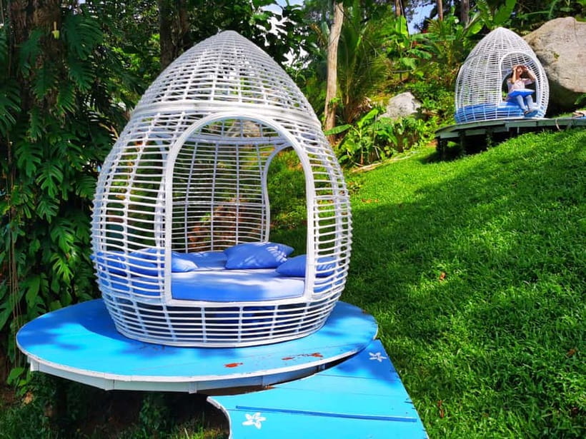 Phuket: Rock Beach Swing Entry Ticket - Bird’s Nests and Photo Spots: Why This Part Matters