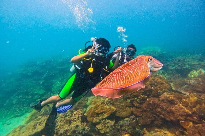 Phuket Scuba Diving Maiton Private Island Small Group or Snorkel - Key Things To Know Before You Go