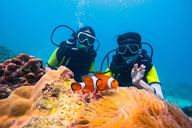 Phuket Scuba Diving: Racha Island Or Maiton Island For All Levels - Key things that make this Phuket scuba outing worth your time