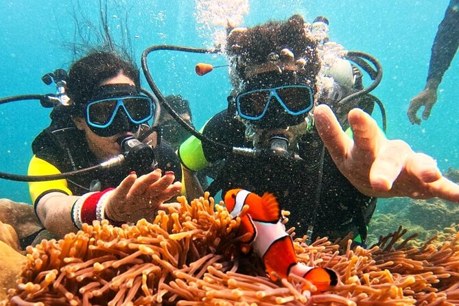 Phuket Scuba Diving: Racha Island Or Maiton Island For All Levels - Racha vs Maiton Island, what you’re really choosing
