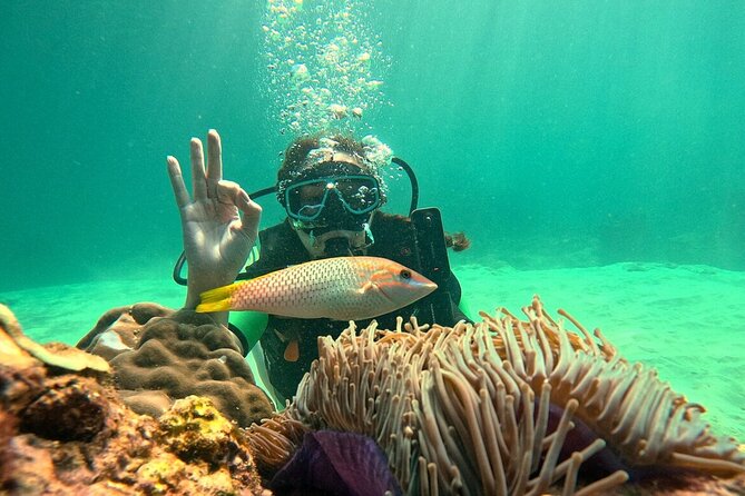 Phuket Scuba Diving: Racha Island Or Maiton Island For All Levels - Training style in the water, what to expect during your first minutes
